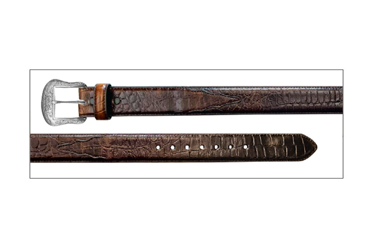 7704511 brown.png