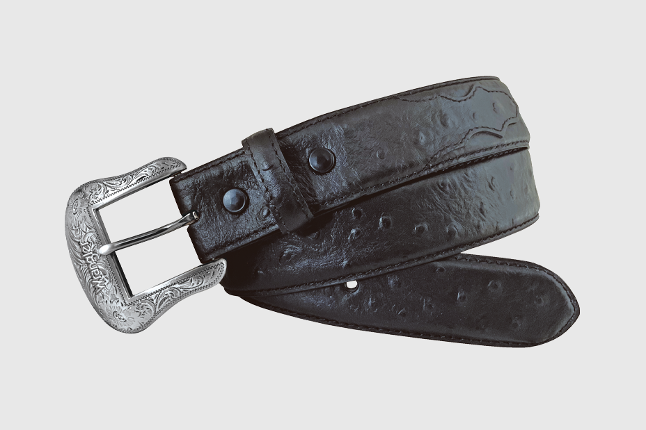 7703511-001 CURLED.png