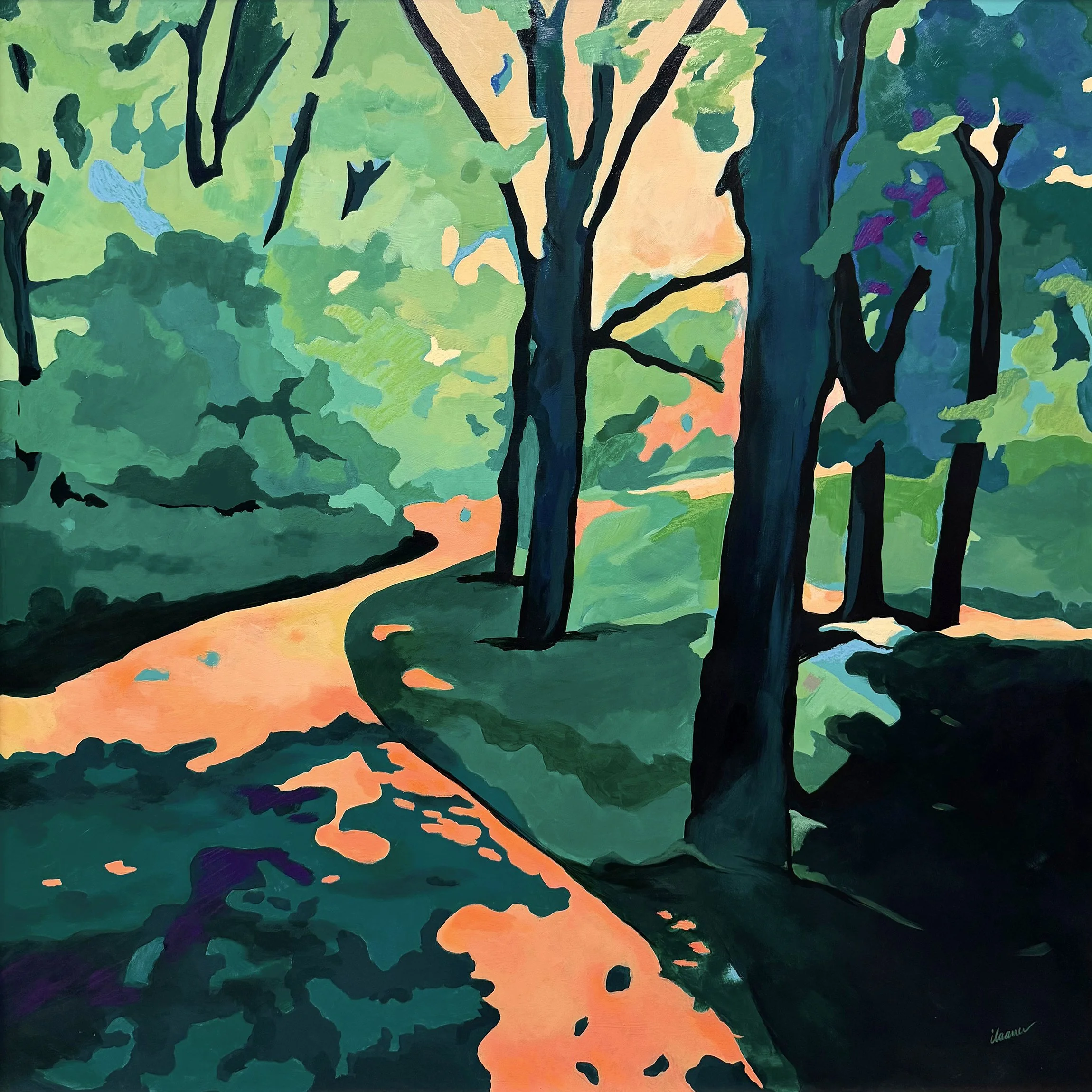 Light Shines Through