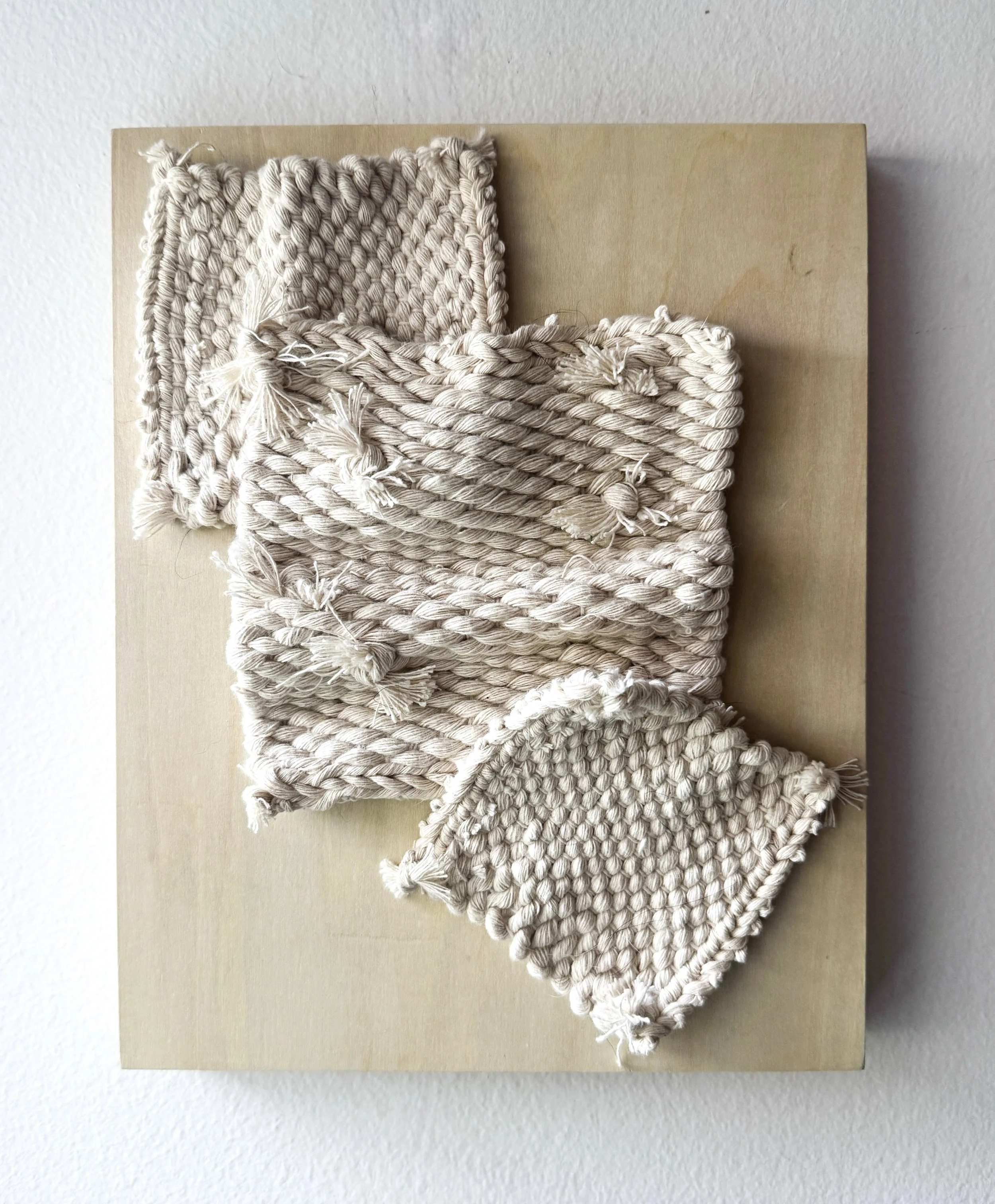 Fiber Sculpture Study 01.jpg