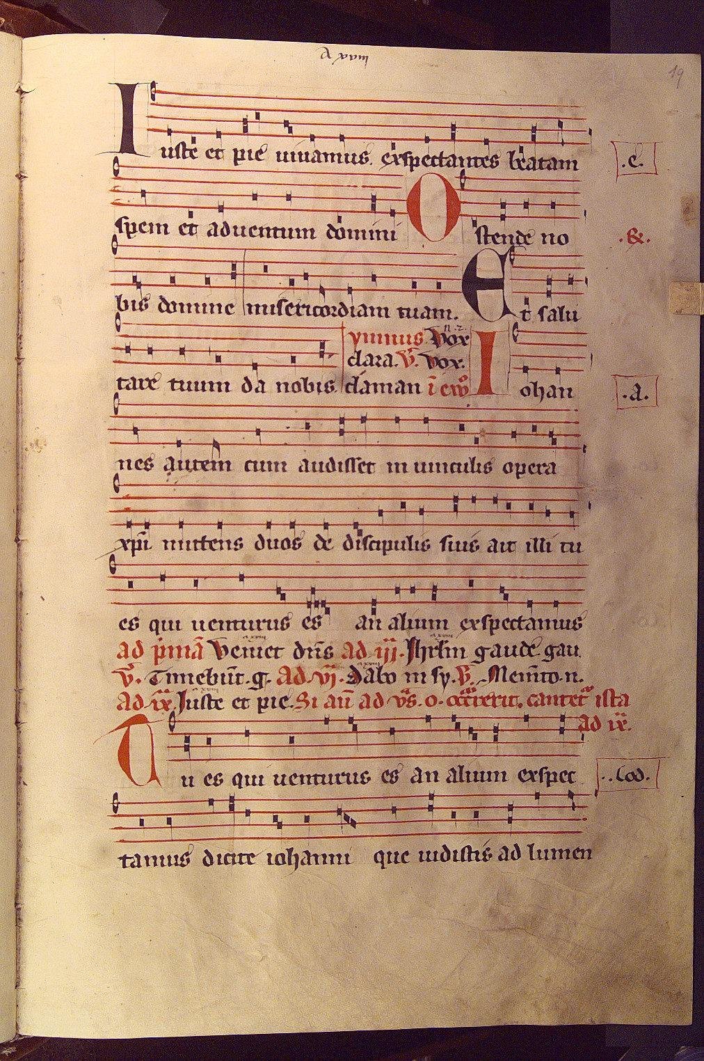 Ostende nobis domine misericordiam tuam.jpeg