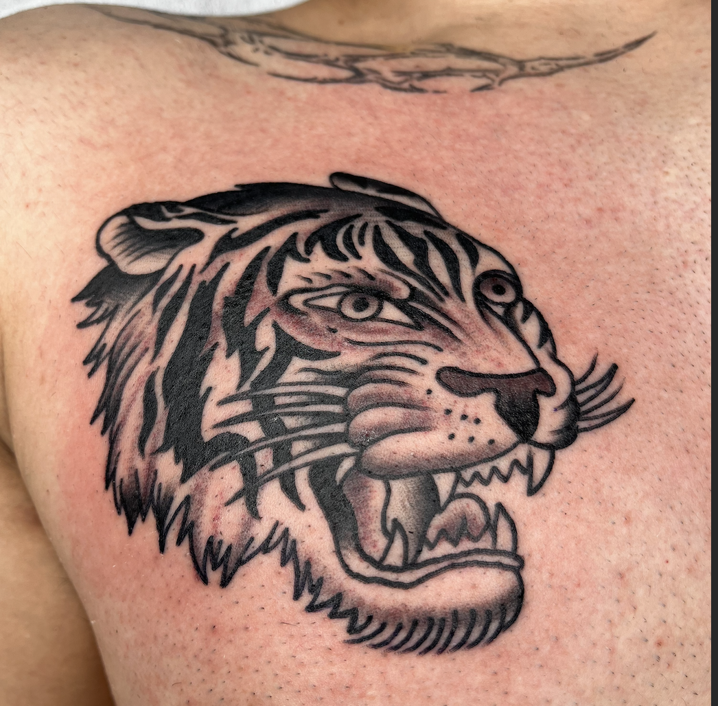 Screenshot 2026-03-04 at 10.04.04 AM.png