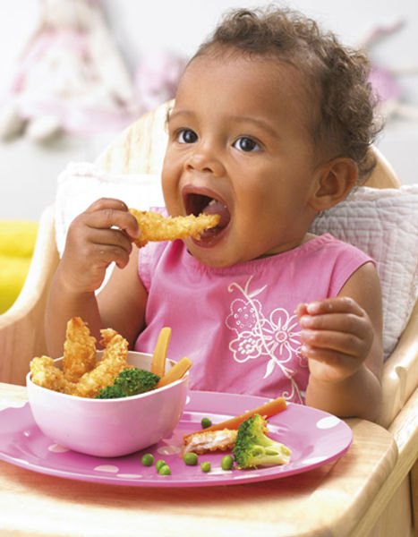 Tiny Taste Explorers