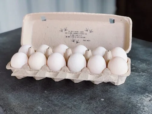 pasture raised duck eggs.jpeg