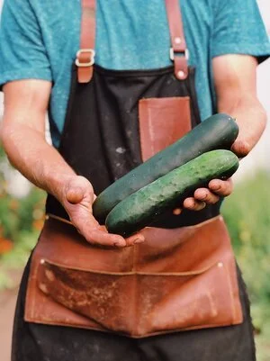 corinto slicing cucumbers.jpeg