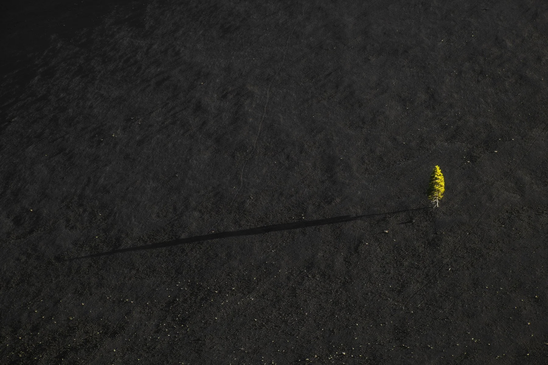 Lassen 0450.jpg