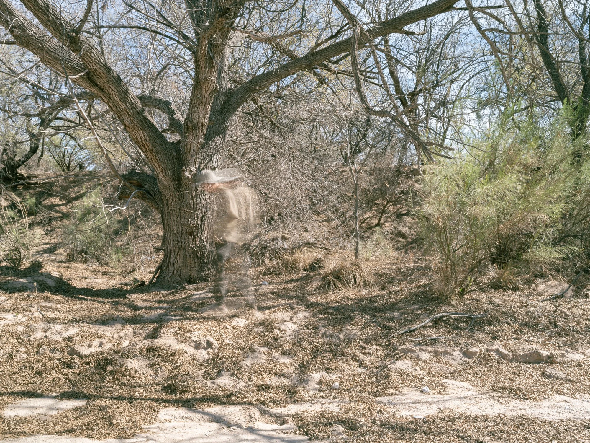 Ciénega Creek, Arizona