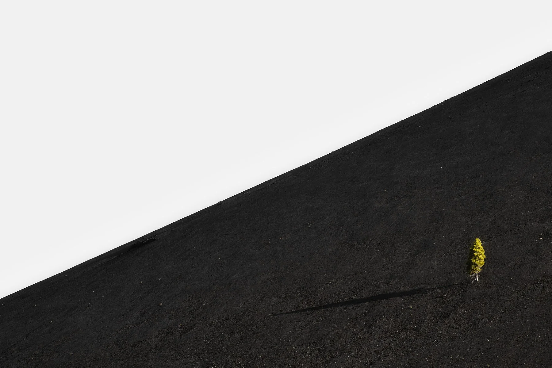 Lassen 0316.jpg