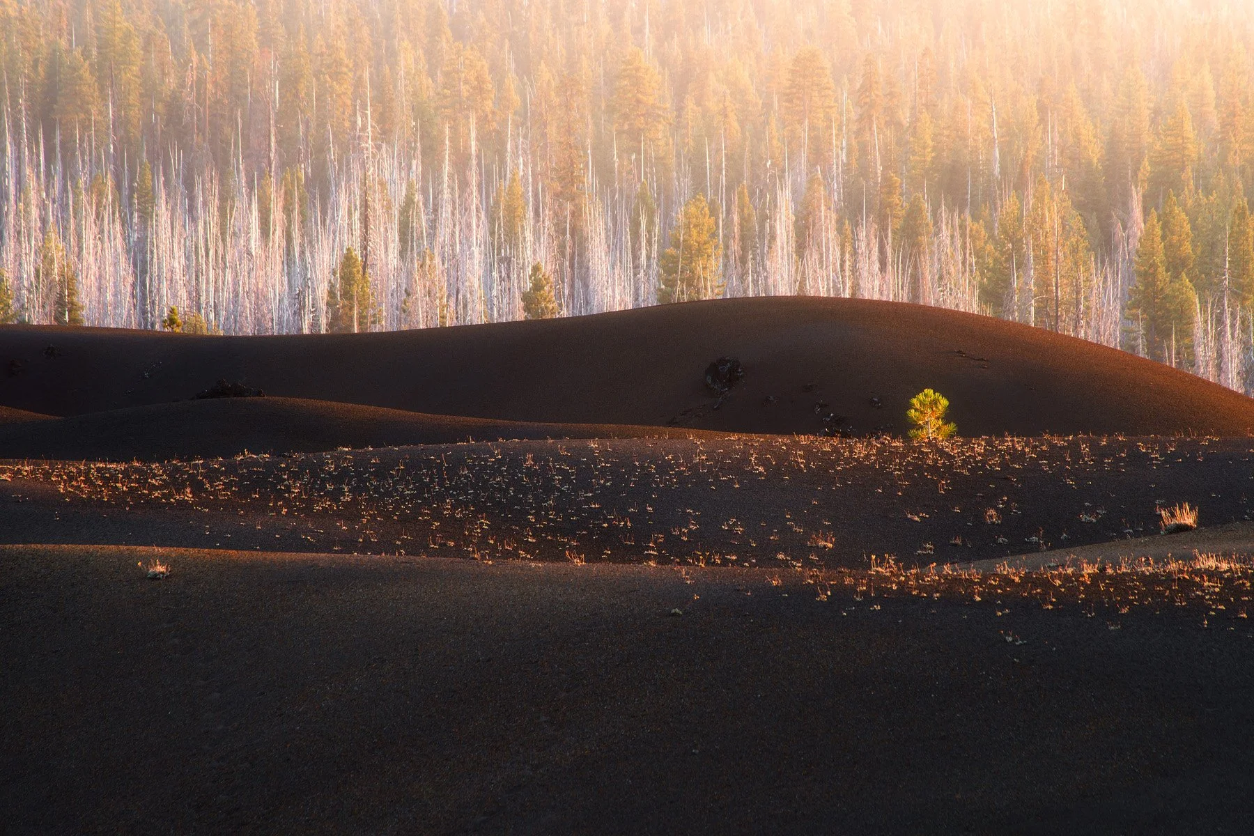 Lassen 0462.jpg