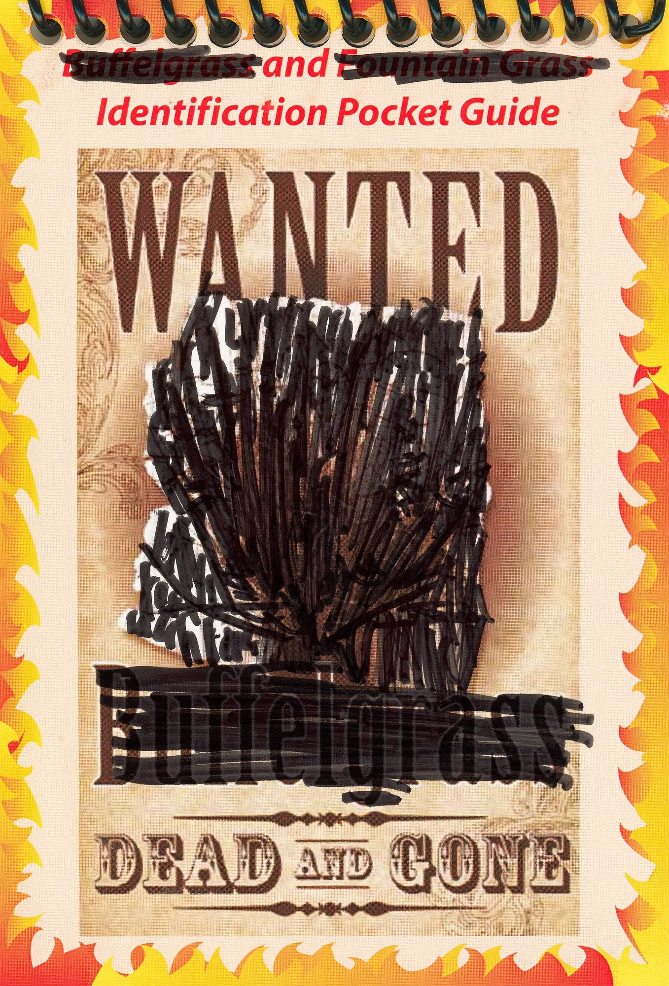 251112-identification-guide-01 copy.jpg