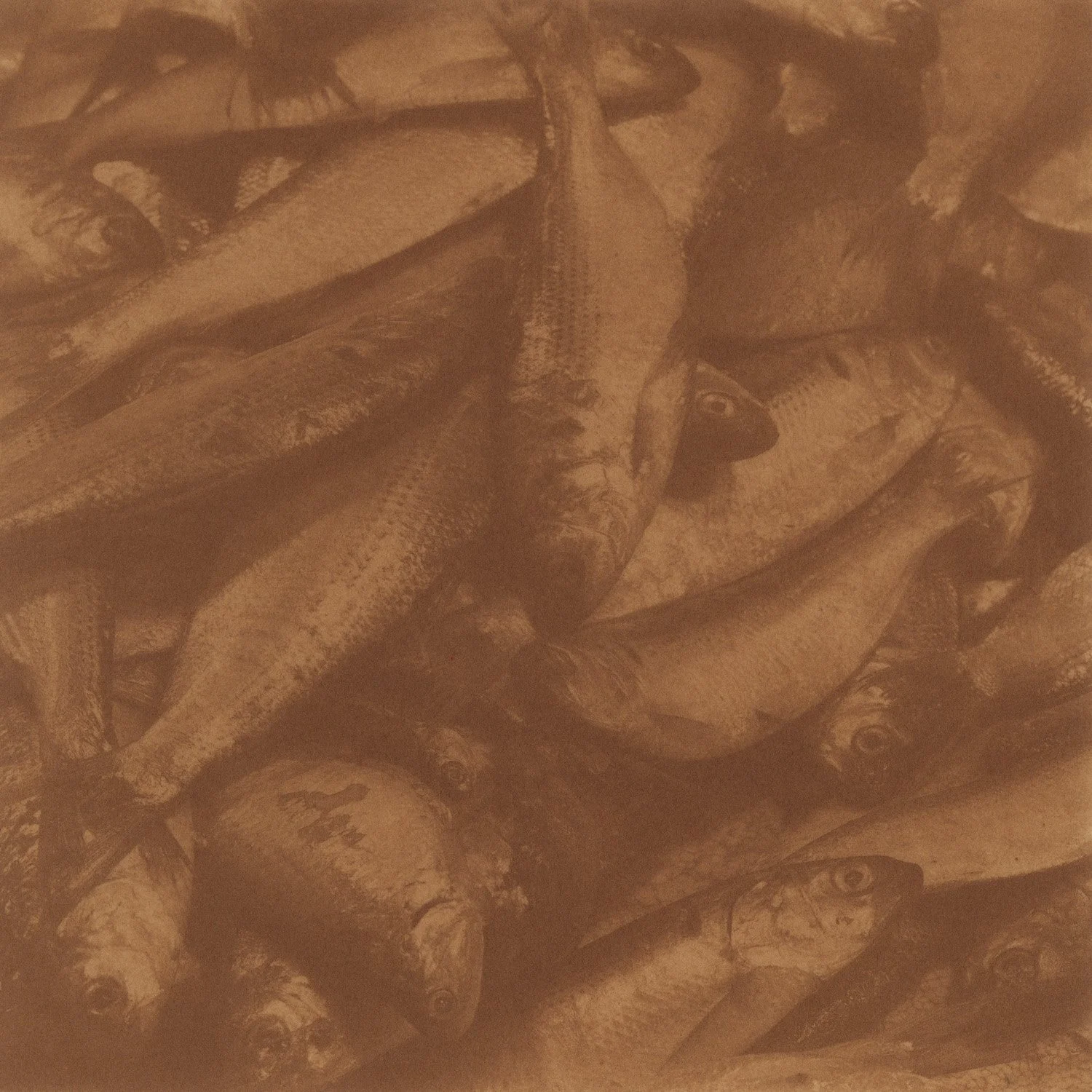 3904-12145 — 8000 (AIRFIELDS). 275 (POPULATION). CHIN CHOU S.E. #1, MANCH, 1956 // Jinfadi Wholesale Market, Dalian, 2026 (printed 2026)