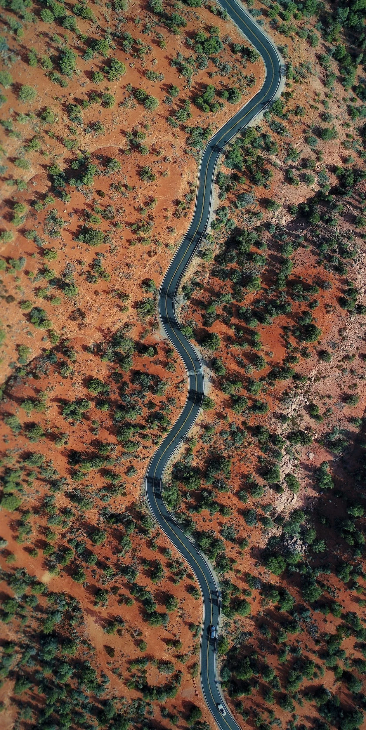 Value of Access, in Dollars