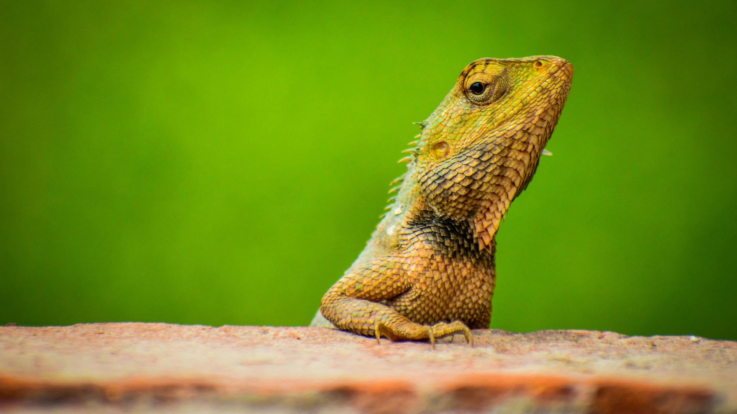 Your replies to "The REAL REASON You Started Your Accounting Practice"​