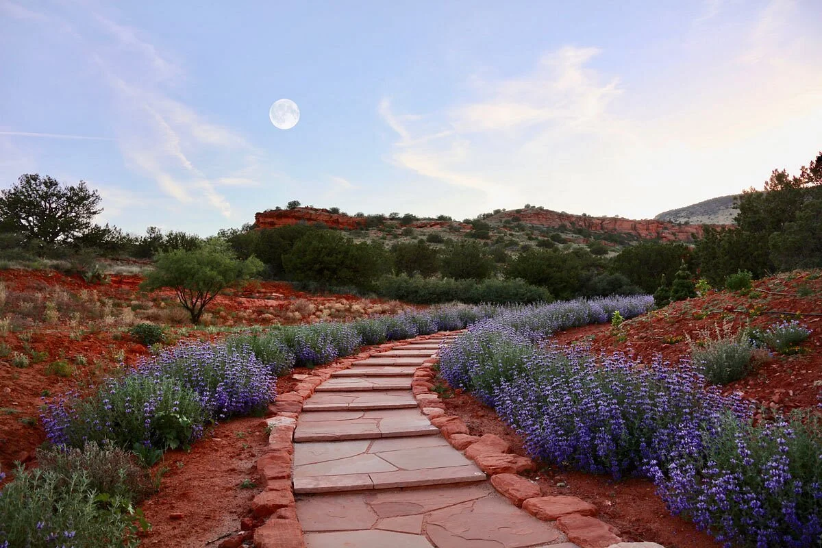 sedona-mago-center-for (1).jpg