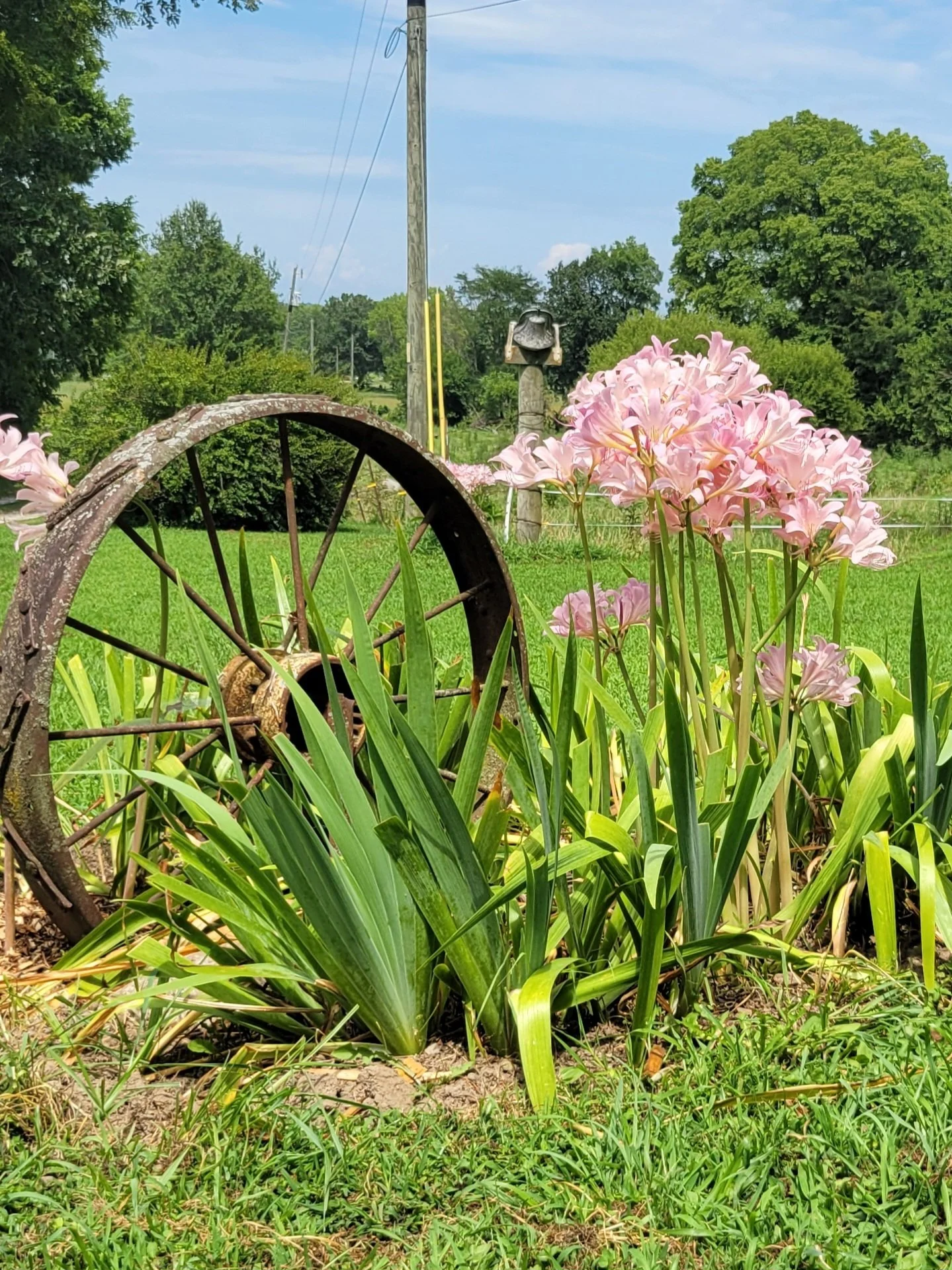 Wayne Township (West Point) MeetUp / Food Drive