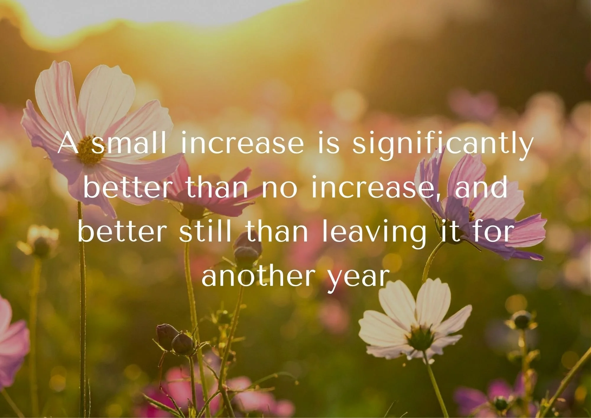 Wild flowers with overlaid text saying 'A small increase is signiificantly better than no increase, and better still than leaving it for another year'