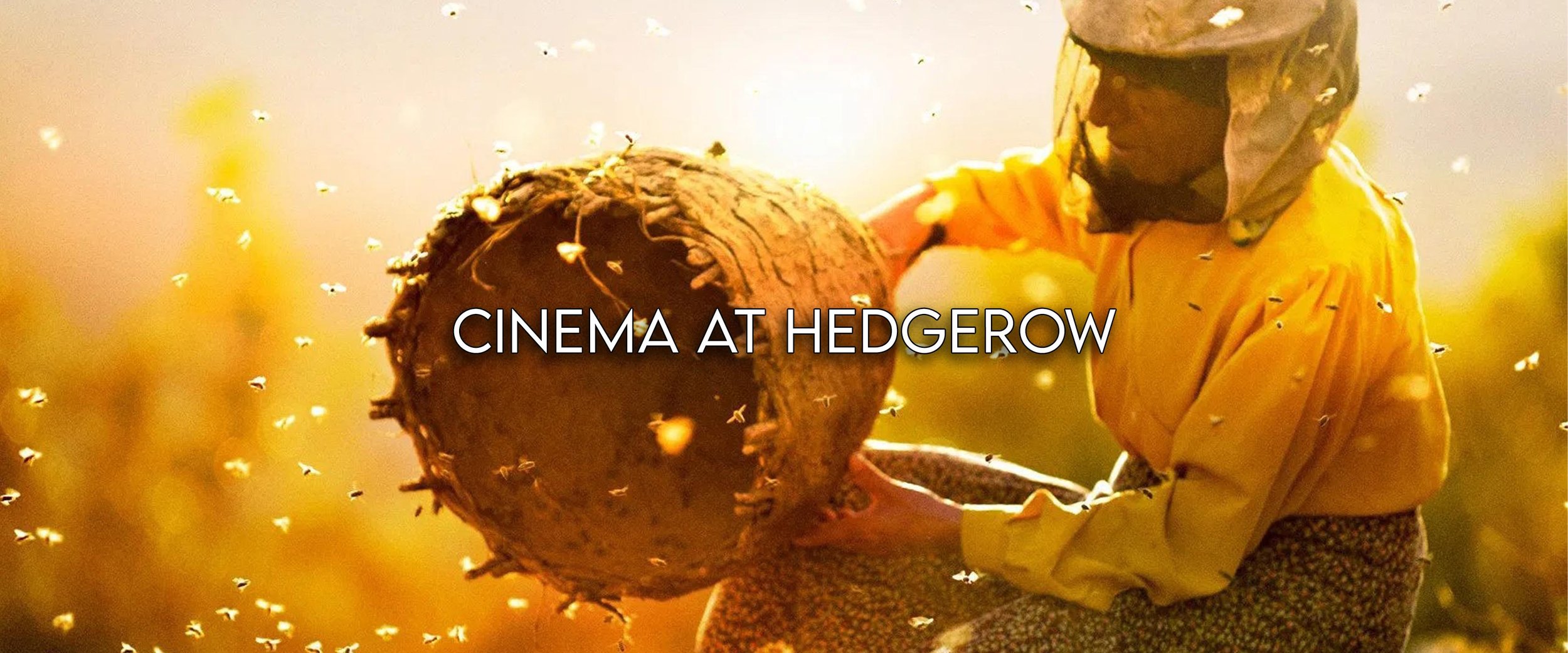Cinema at Hedgerow Website Banner_2.jpg