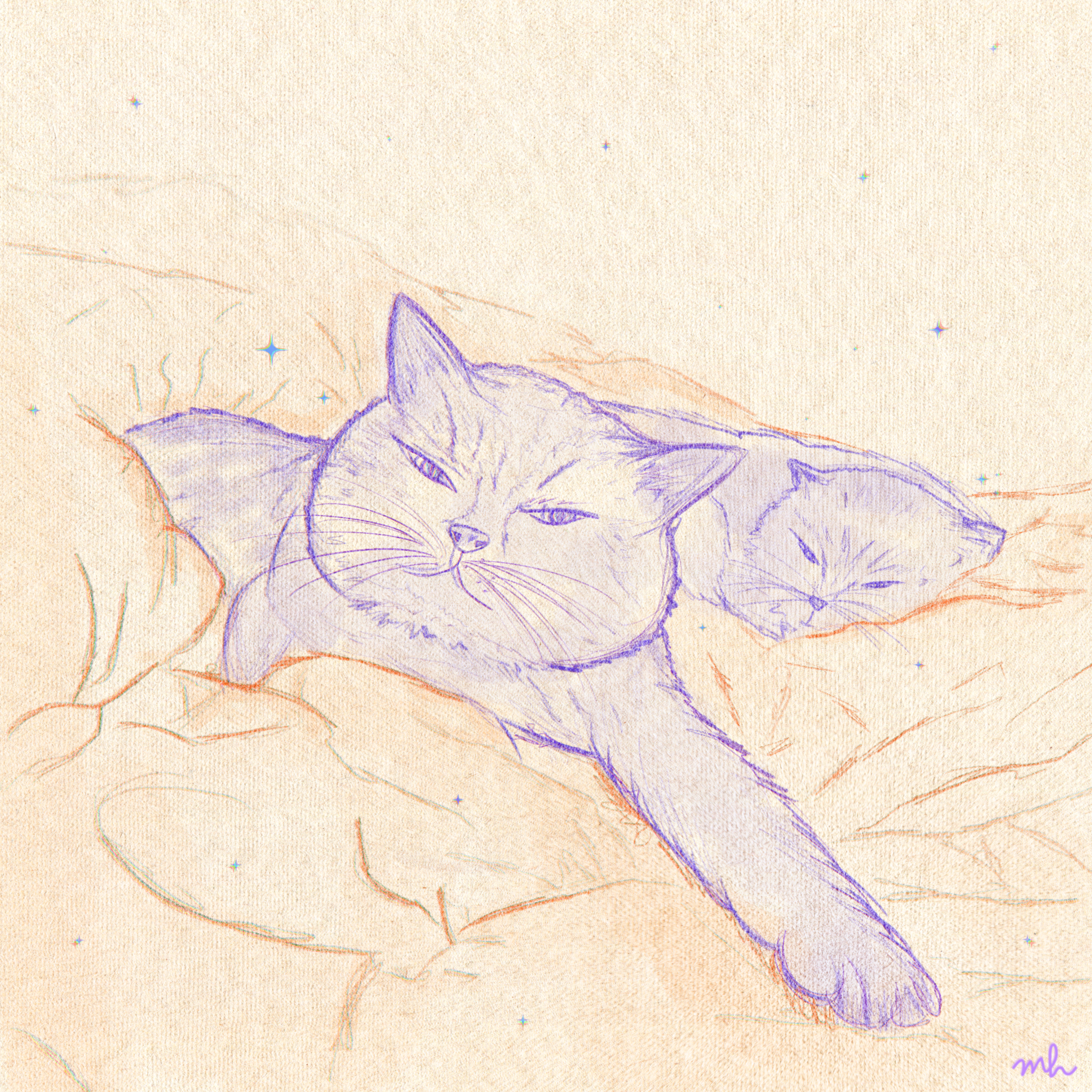 Ameerah_💜.png