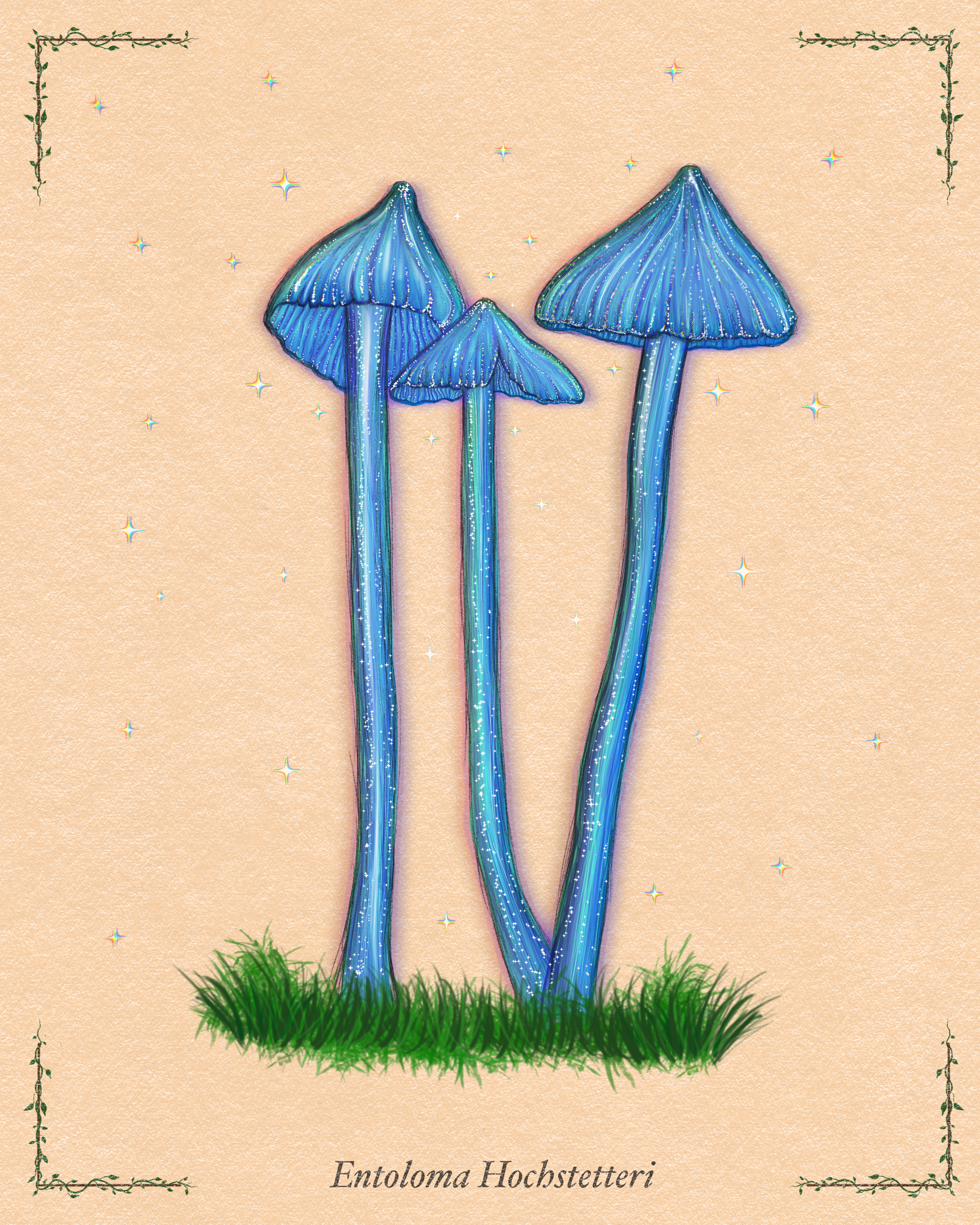 IMG_2271.PNG