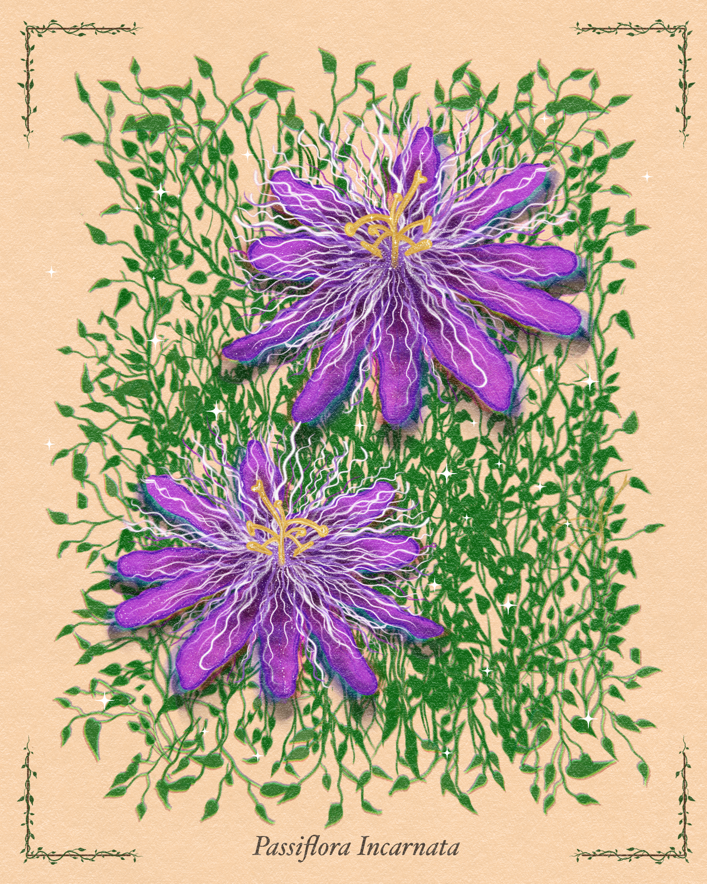 IMG_2270.PNG
