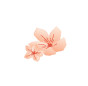 flowers.png