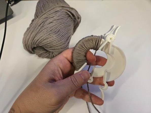 pompon2.jpg