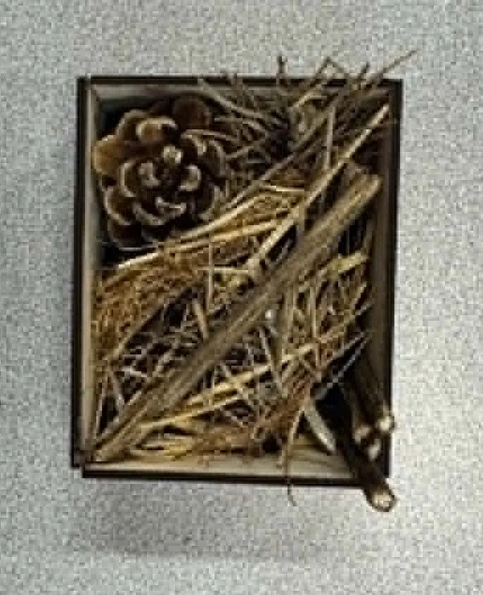Construisez un hôtel à insectes! (La Hutte)