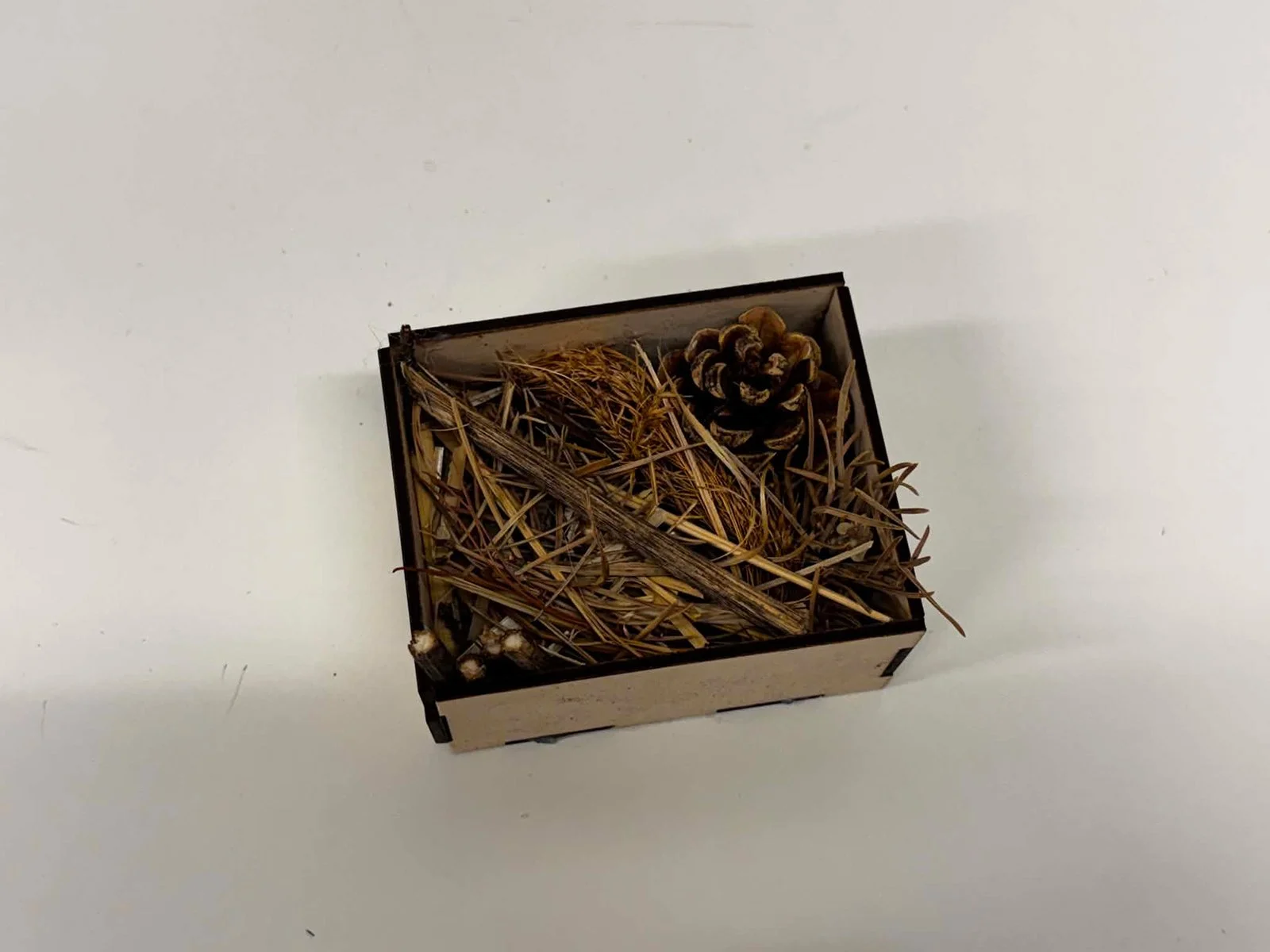 Construisez un hôtel à insectes! (La Hutte)