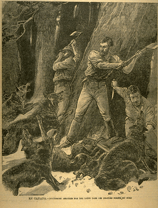J. C., En Canada bûcherons assaillis par les loups dans les grandes forêts du Nord, illustration de périodique, Le Monde illustré, vol. 9, no 463 (18 mars 1893), p. 539. Bibliothèque nationale (site Rosemont).