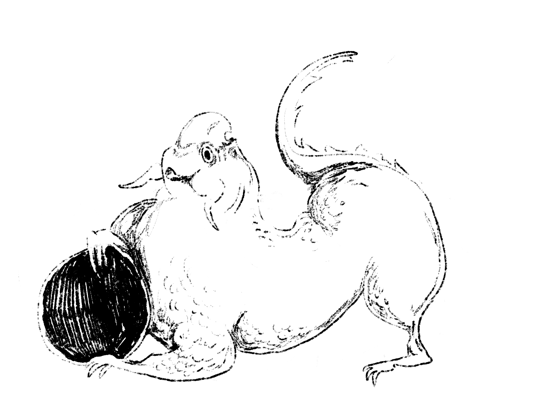 dog dragon.png