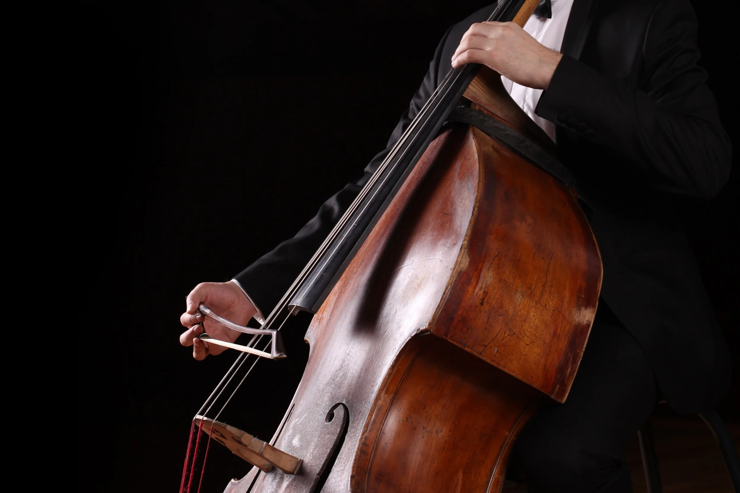 Contrabass | Homepage — Timbre and Orchestration Resource