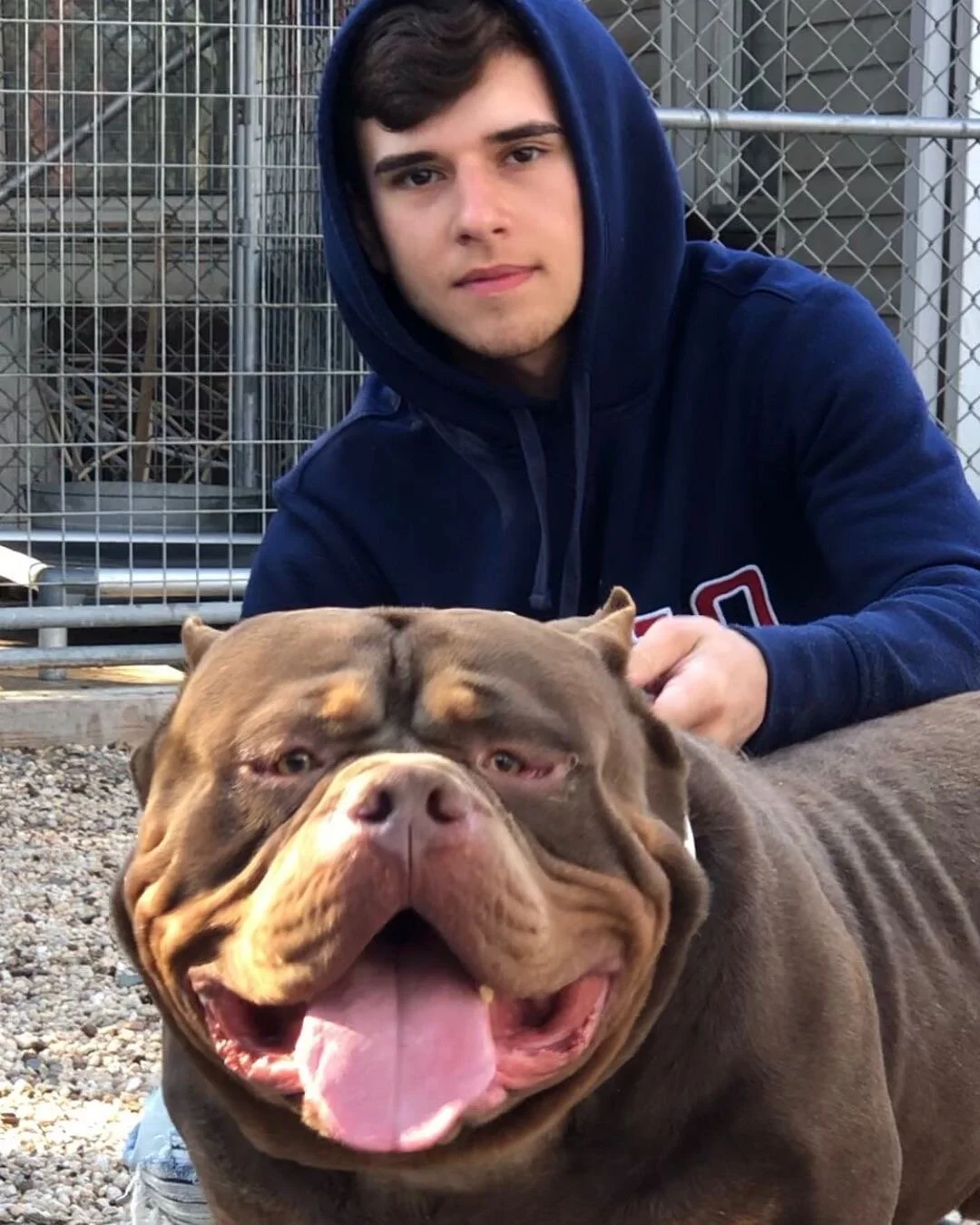 Big Baller Kennels