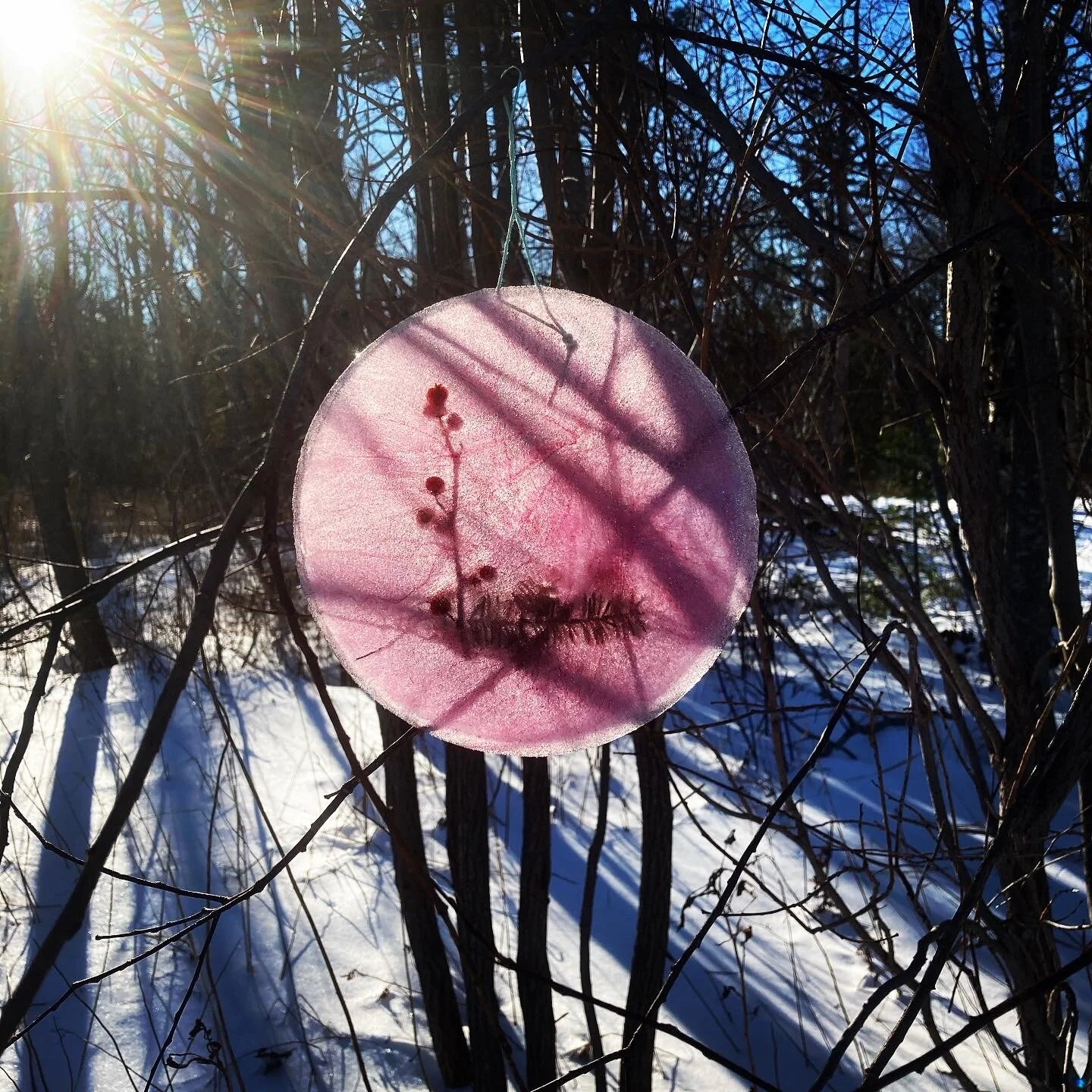 Celebrating the Beauty of Each Season