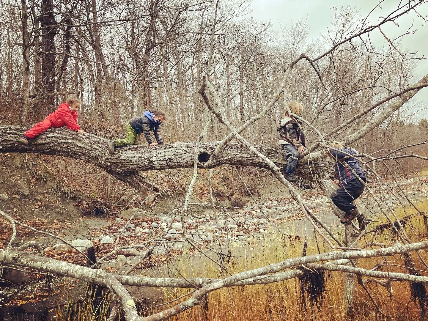 Plenty of Time for Self Directed Exploratory Play and Problem Solving