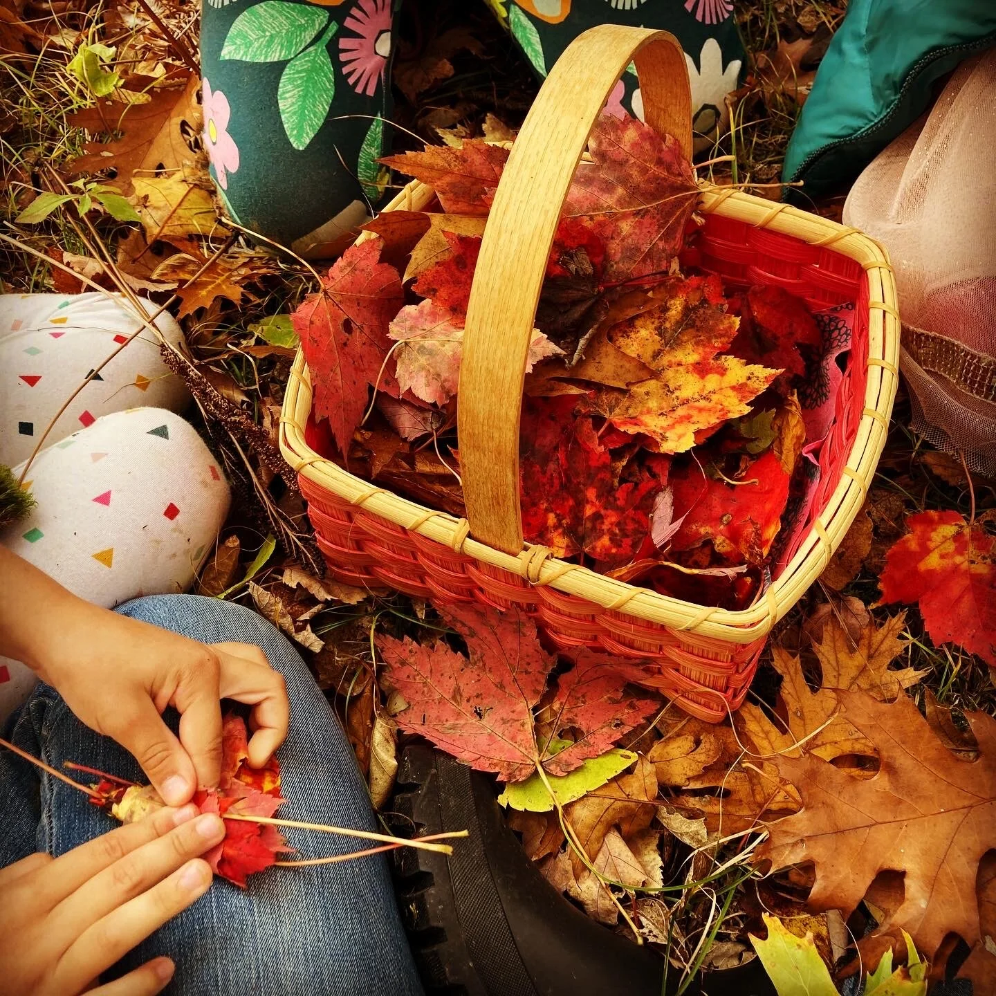 Seasonal Outdoor Art and Craft Projects  Offered Daily