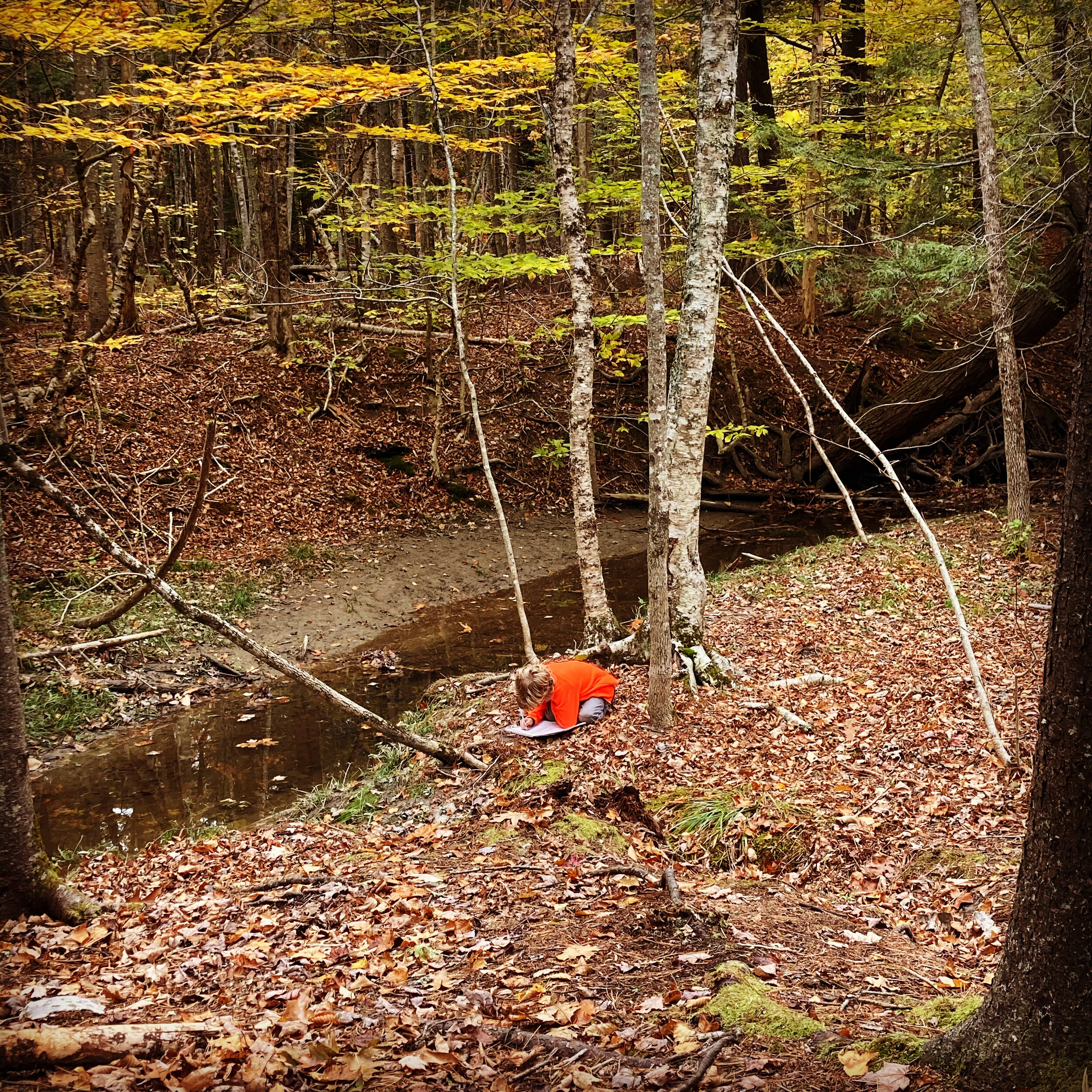 Daily Silent Observation Time and Nature Journaling