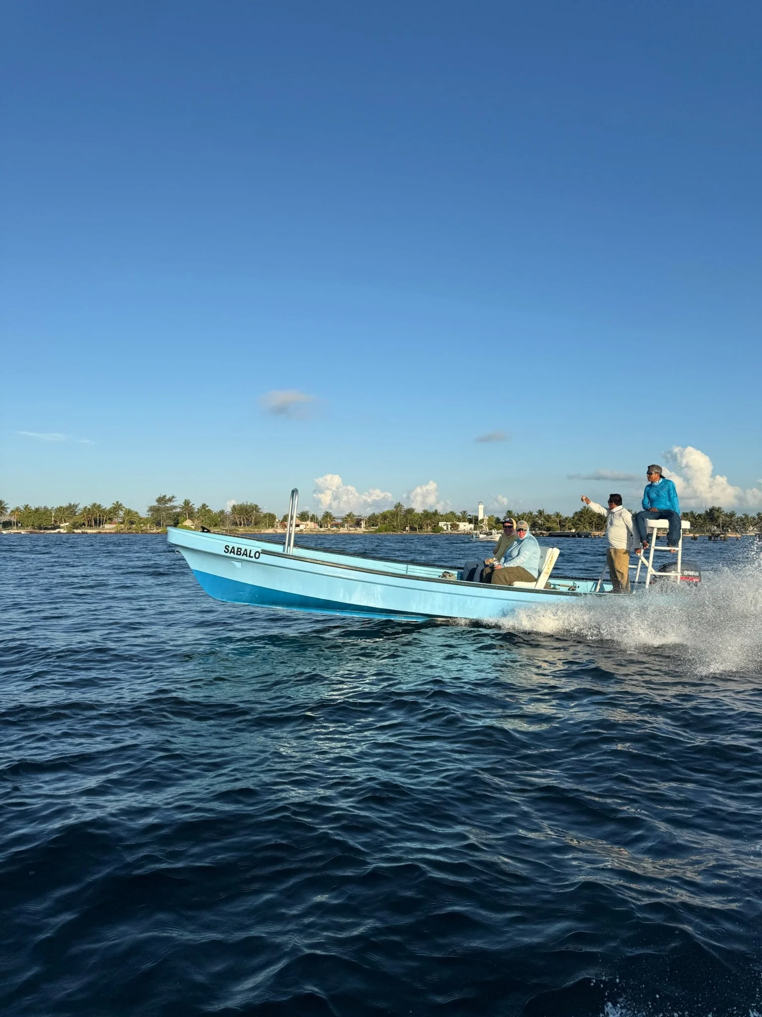 IMG_2411.jpg