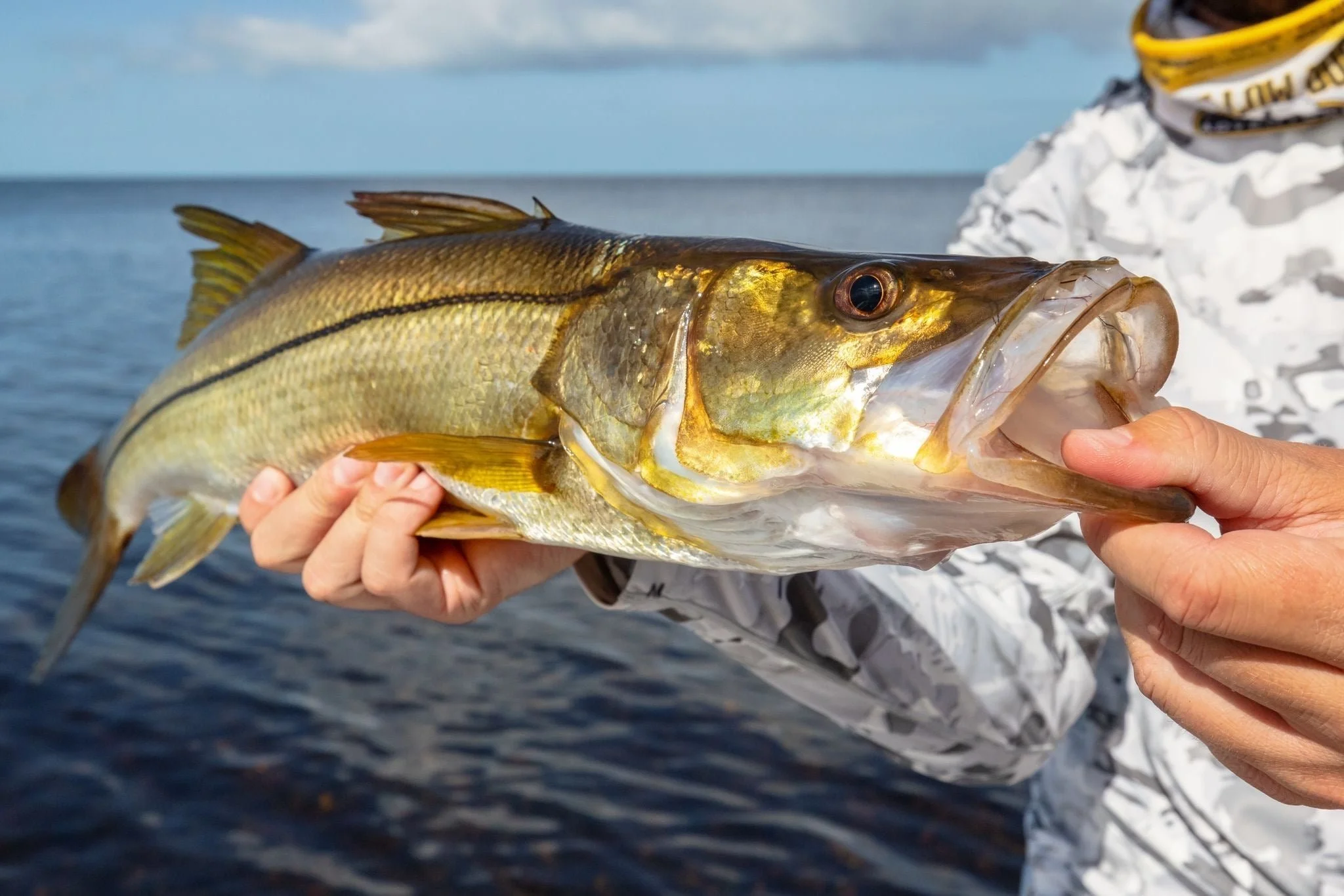 photo provided by yellow dog fly fishing