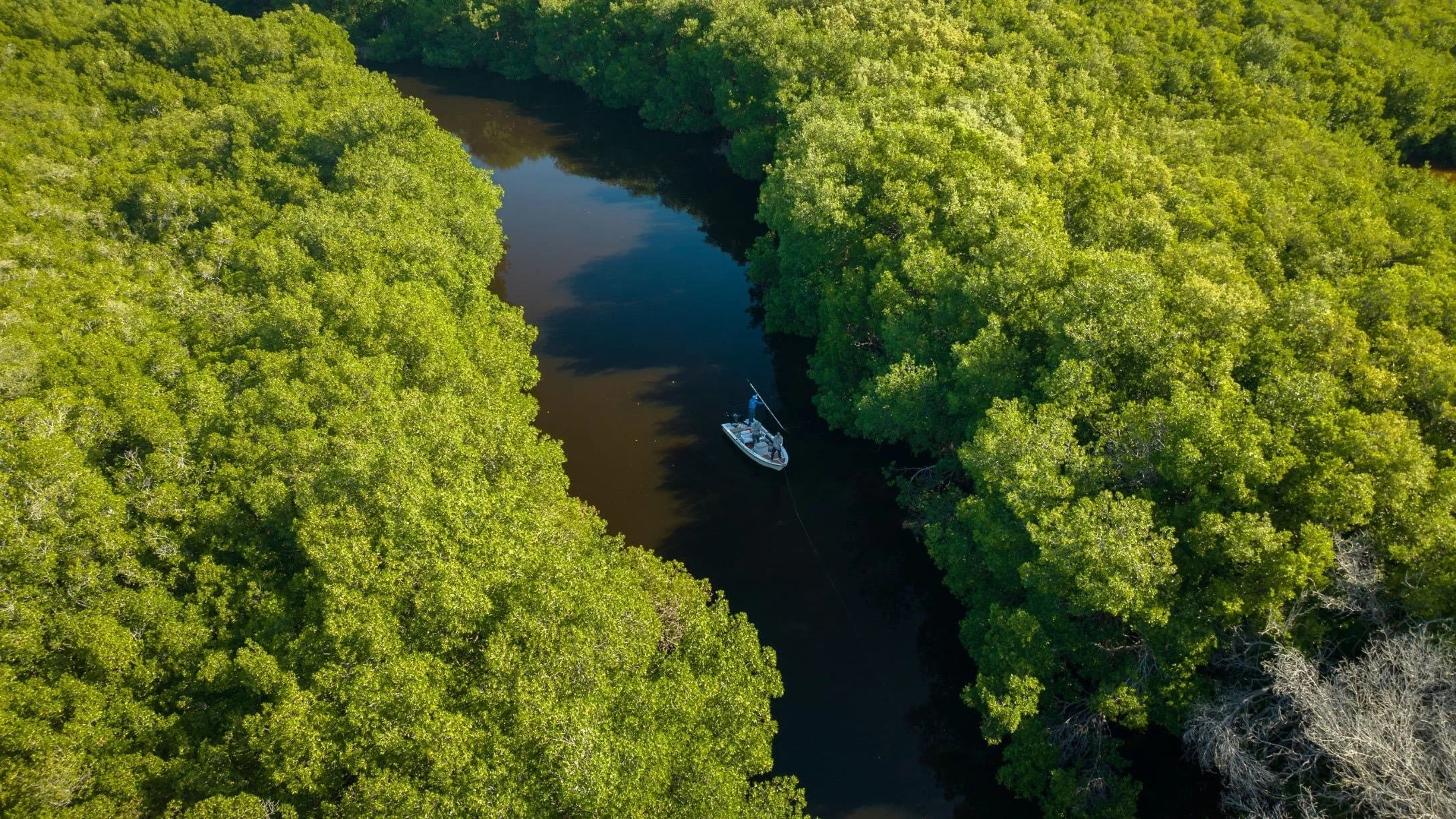 photo provided by yellow dog fly fishing