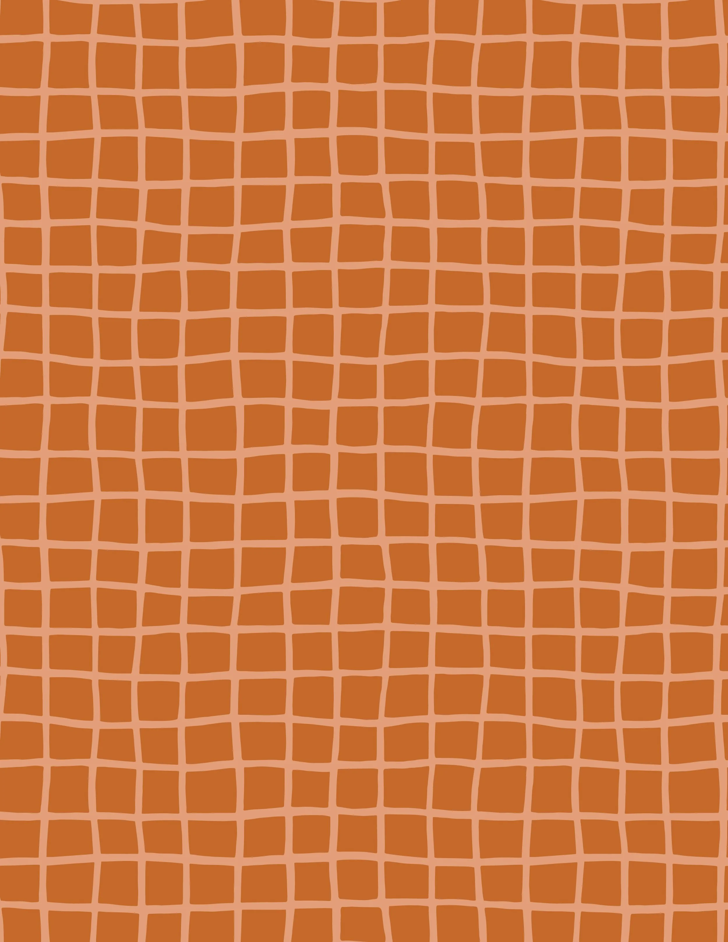 Mini Plaid in Pumpkin-01.jpg