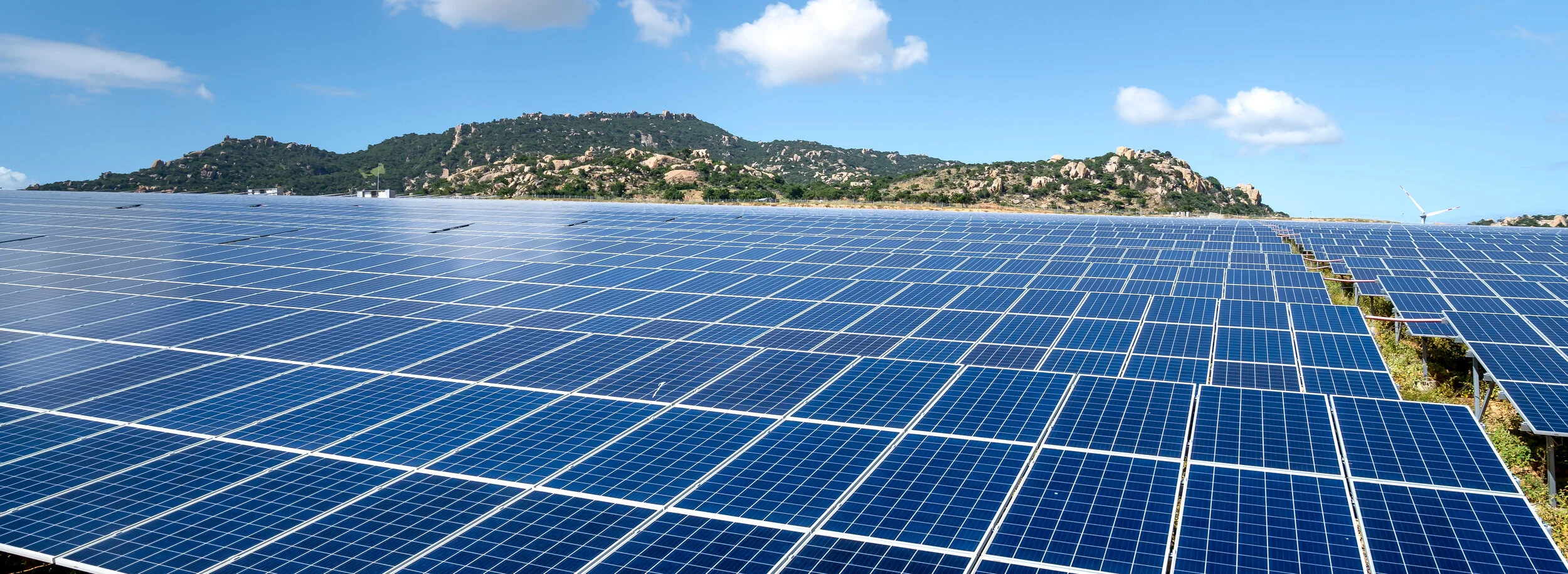 East African network seeking to promote an inclusive green economy launched