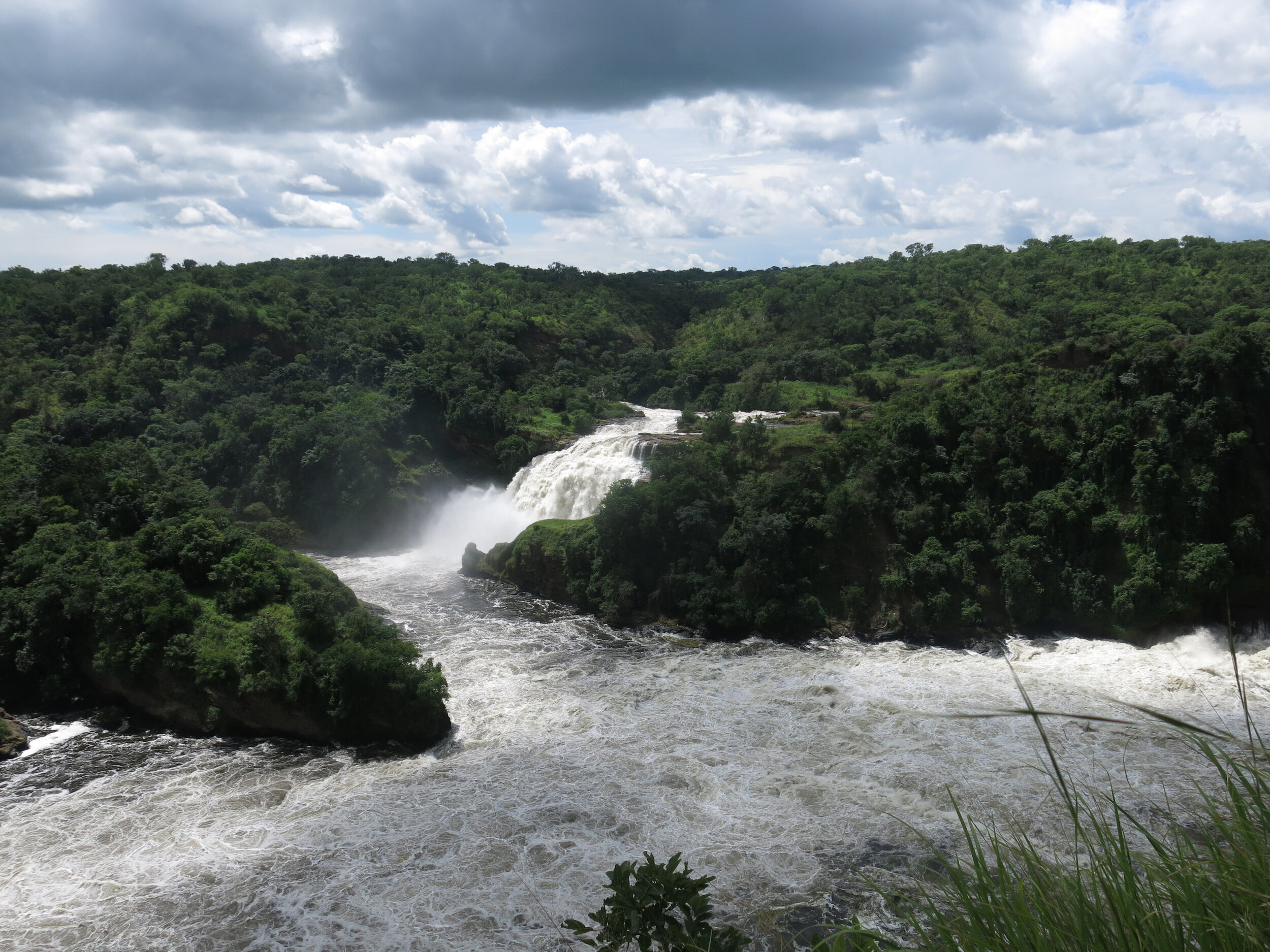 Ugandan gov’t should implement a green growth strategy to create nearly 4 million jobs