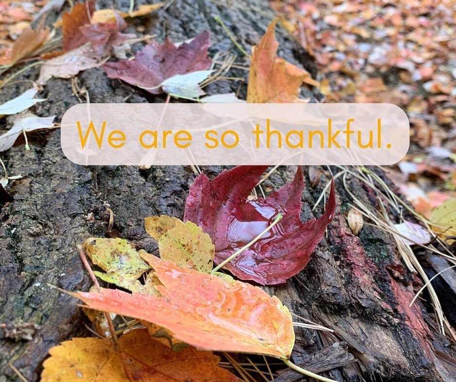 Happy Thanksgiving!! We are thankful for our incredible, dedicated team, our beautiful campus, and the amazing children we have the privilege of guiding and growing with each day. Today, and every day, we give thanks for how much time we are able spe