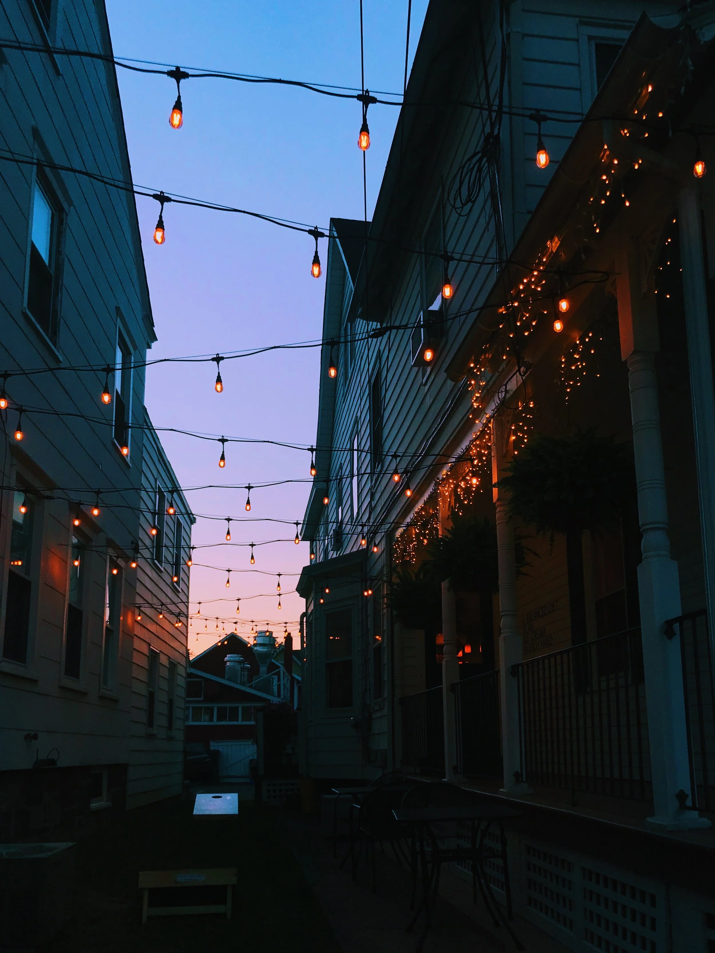 213 Purple Cow .jpeg