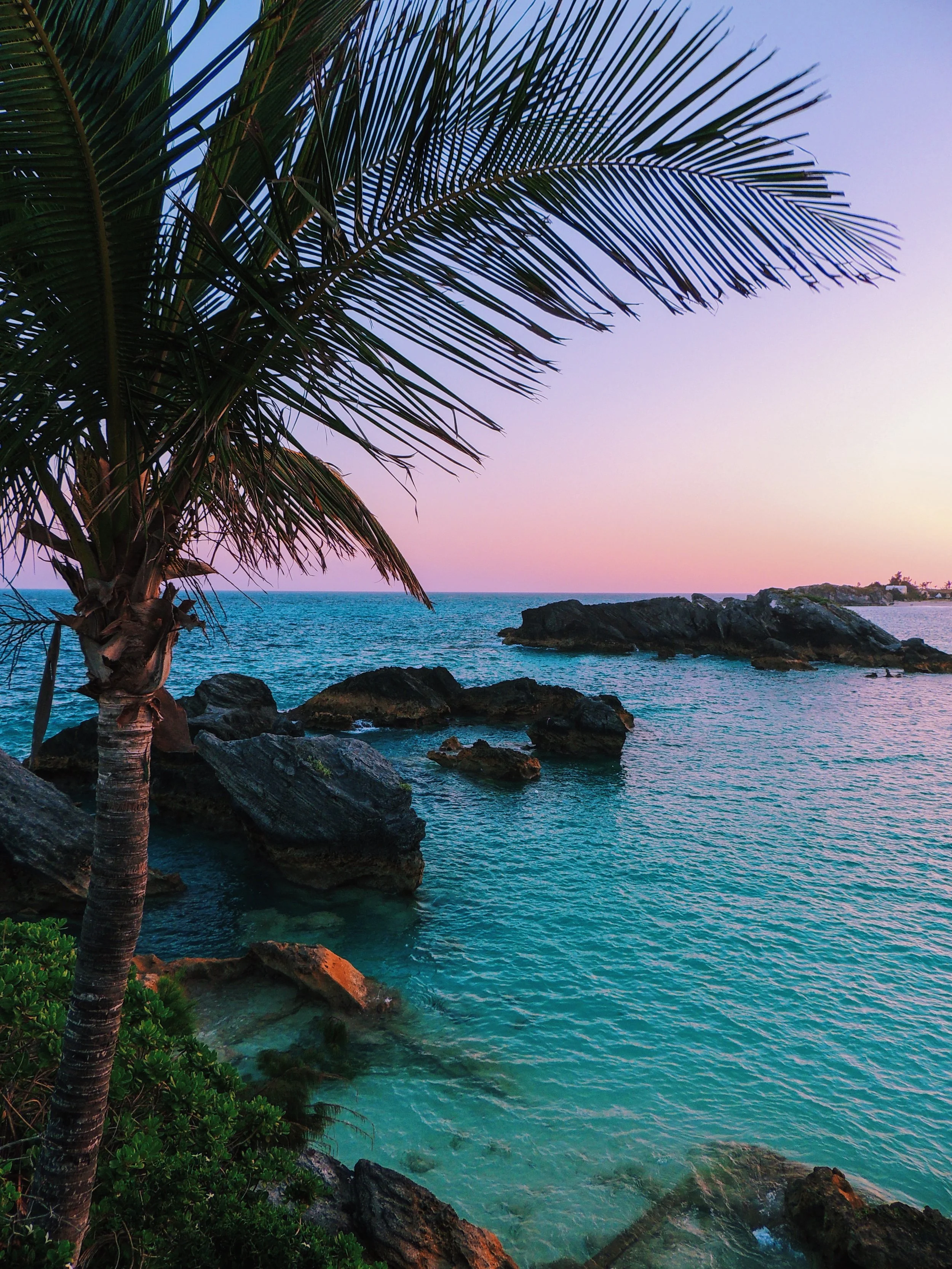 96 Paradise Beyond.JPG