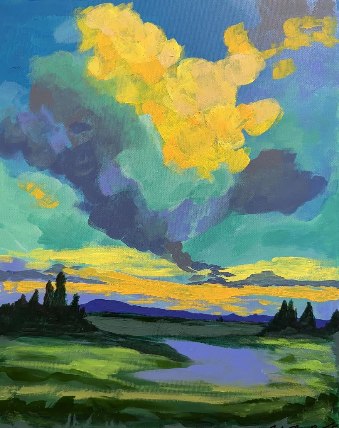 "Cloudy Day" 20 X 16" $650