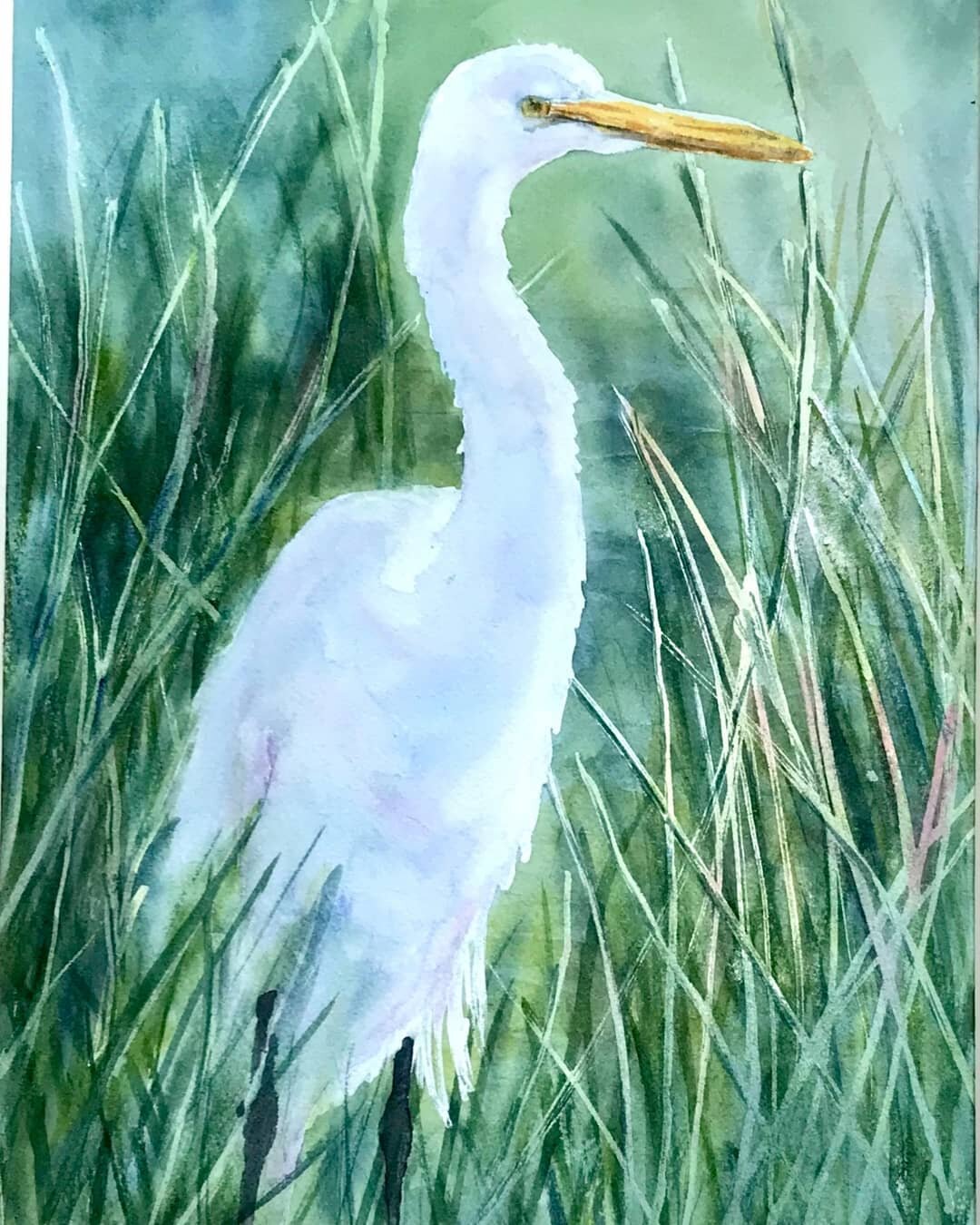 White Egret in the reeds, my demo for the Dollard students this week.
