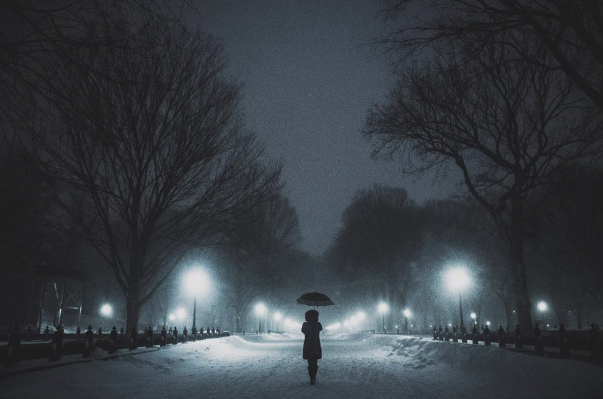 Screen Shot 2021-07-17 at 1.34.04 AM.png