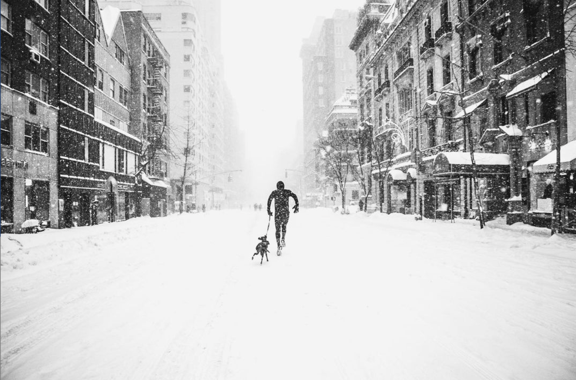 Screen Shot 2021-07-17 at 9.45.10 AM.png