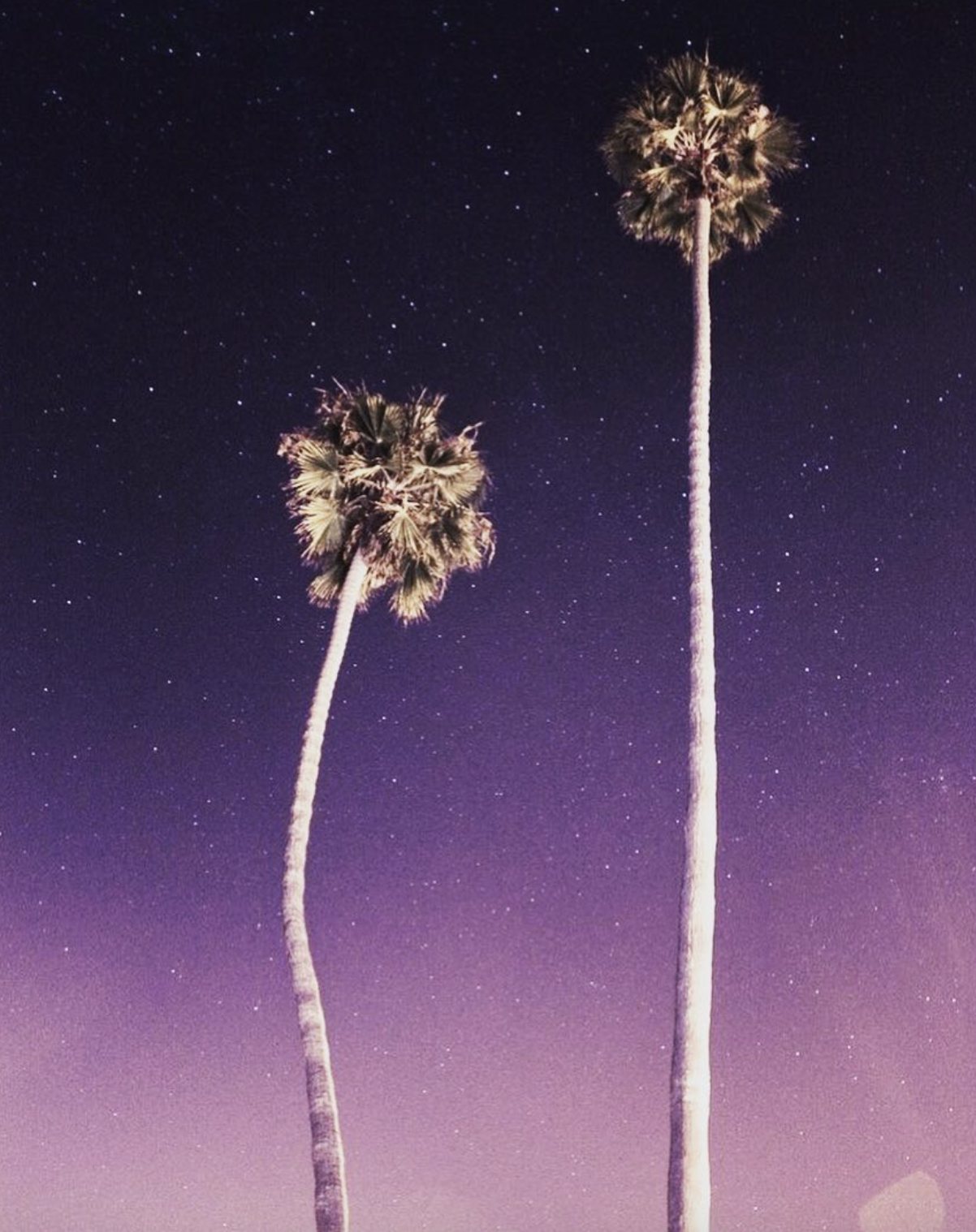 Screen Shot 2021-07-17 at 10.03.21 AM.png